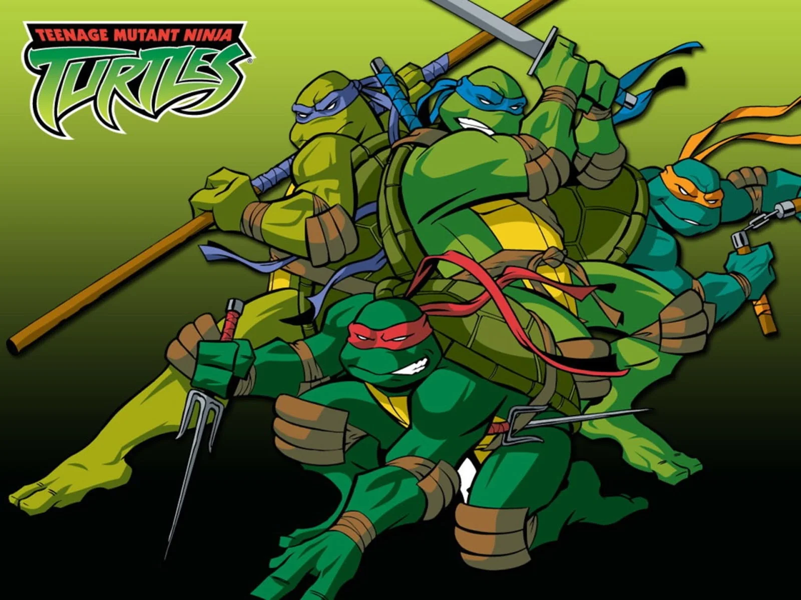 Ver Las Tortugas Ninja (2003) Online